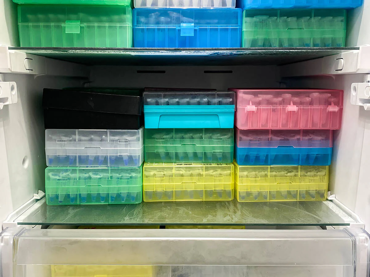 Tricks to Organize Your Lab Freezer for Maximum Efficiency